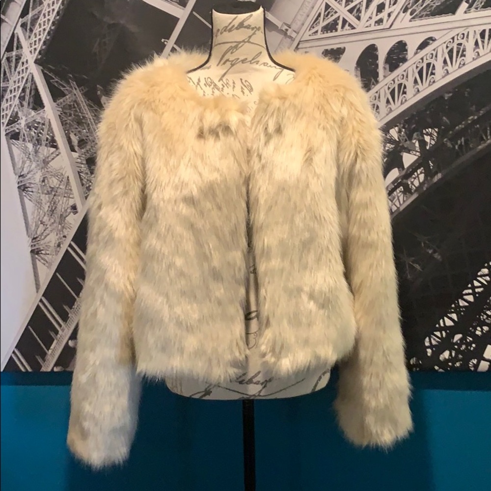 Franchesca Faux Fur Jacket Fashion Nova